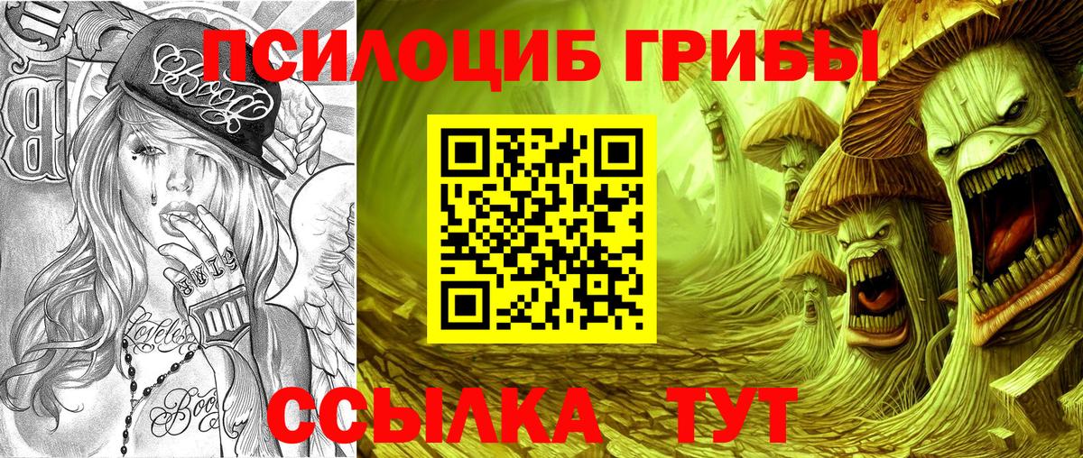 Псилоцибиновые грибы мицелий Гагарин